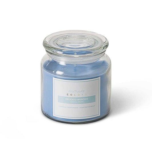 Colors Collection - Delicato Muschio - 400 gr.