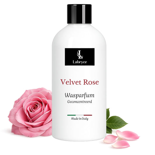 Velvet Rose